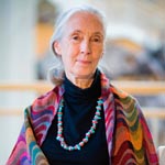 Dr. Jane Goodall